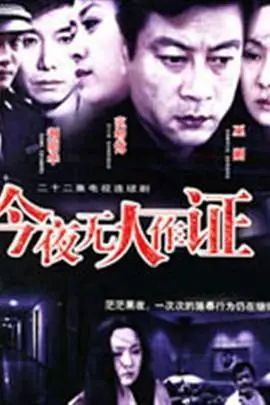 《今夜无人作证》:迷雾重重,真相待解的悬疑之夜