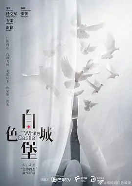 《白色城堡》:医疗剧巅峰之作,揭露医者仁心与体制困境